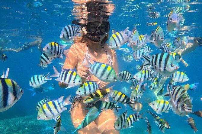 Bali Blue Lagoon Snorkeling - Lunch and Transport All Inclusive - Exploring Bali’s Best: The Bali Blue Lagoon Snorkeling & Temple Tour