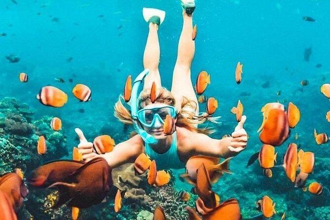 Bali Blue Lagoon Snorkeling - Lunch and Transport All Inclusive - Key Points