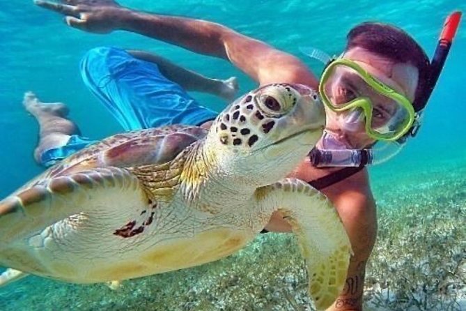 Bali Blue Lagoon Snorkeling - Tegenung Waterfall - Lunch - Transfers - Private Door-to-Door Adventure