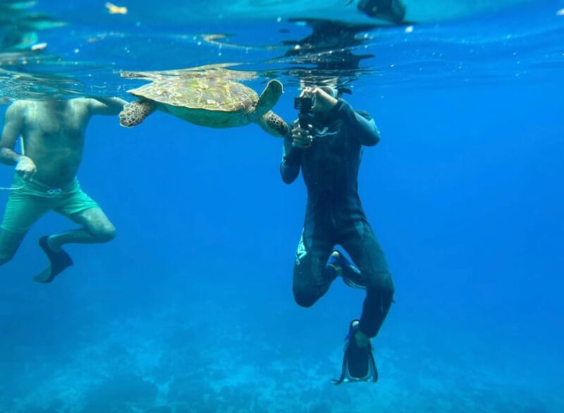 Bali Blue Lagoon Snorkeling Tour - Tour Overview
