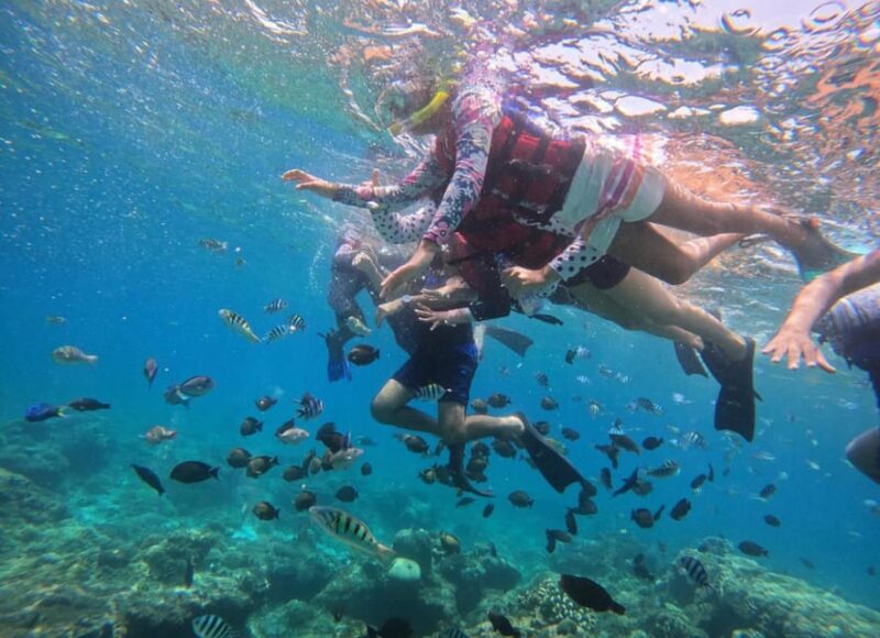 Bali Blue Lagoon Snorkeling Tour - Amenities and Inclusions