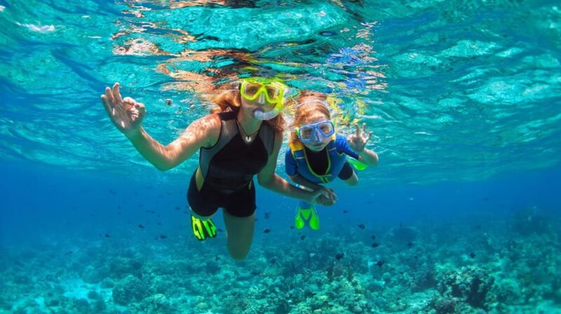 Bali: Blue Lagoon Snorkeling With Lunch & Transport - Key Points