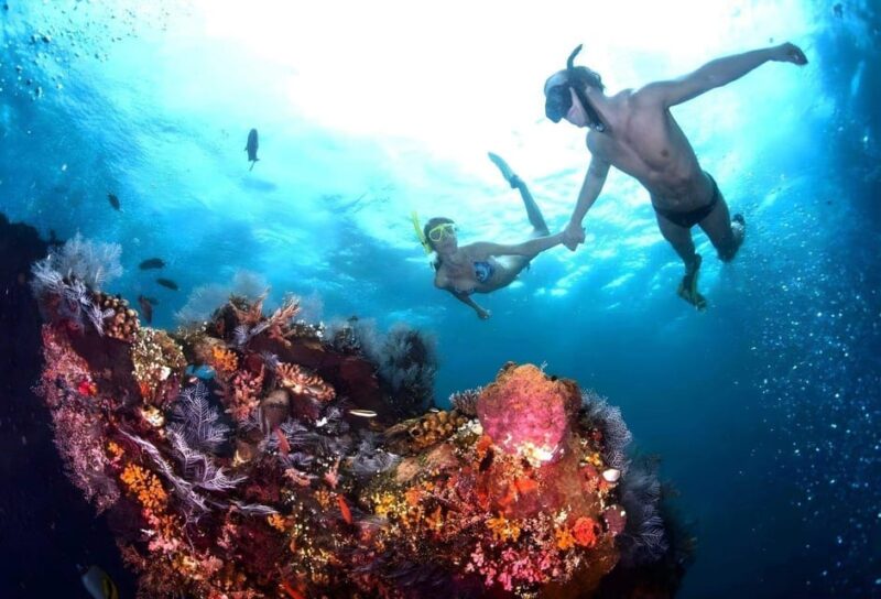 Bali: Blue Lagoon Snorkeling With Lunch & Transport - Activity Highlights