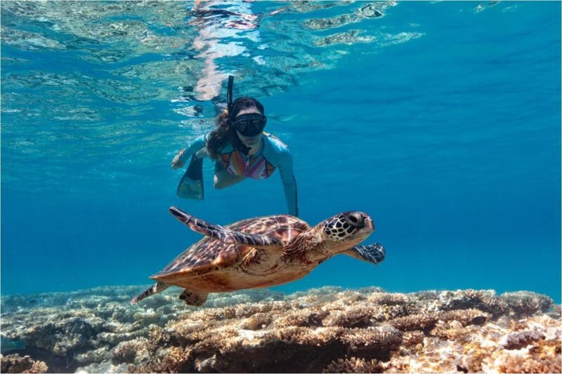Bali: Blue Lagoon Snorkeling With Lunch & Transport - Included Amenities