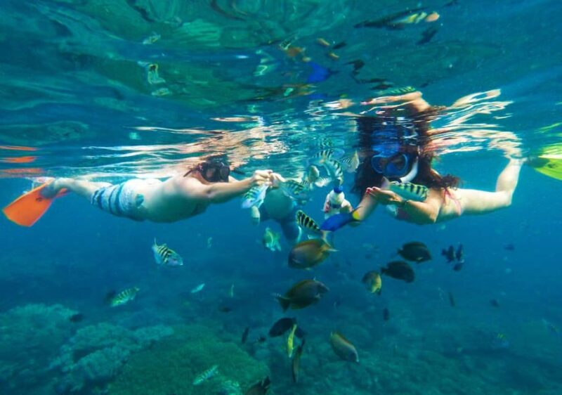 Bali: Blue Lagoon Snorkeling With Lunch & Transport - Preparation Requirements