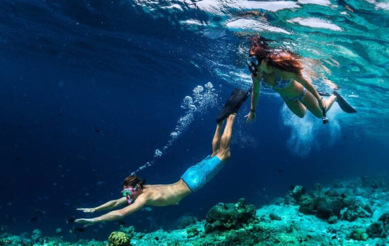 Bali: Blue Lagoon Snorkeling With Lunch & Transport - Experience Highlights