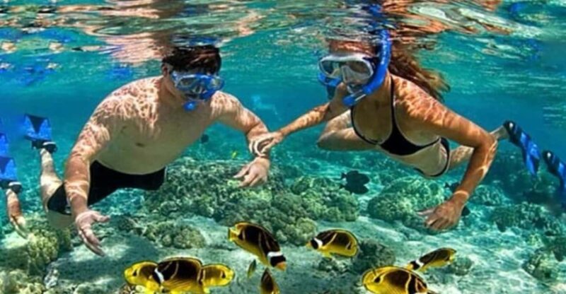 Bali : Blue Lagoon Snorkeling With Lunch & Waterfall - Cancellation and Payment