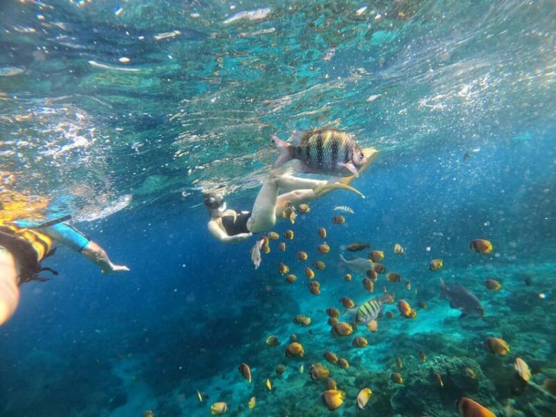 Bali: Blue Lagoon Snorkeling With Meal - Booking Information