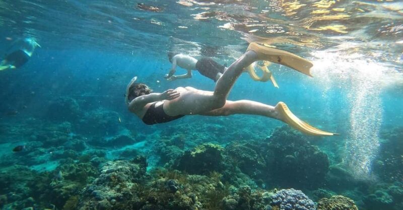 Bali: Blue Lagoon Snorkeling With Meal - Itinerary Details