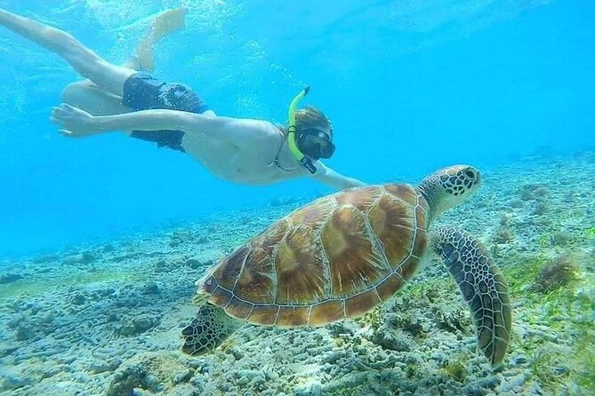 Bali Blue Lagoon Snorkeling With Private Transfer & Lunch - Pickup Service and Locations
