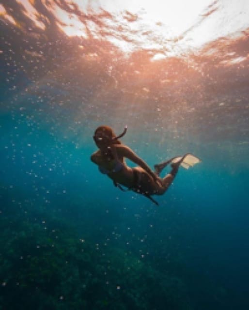 Bali Blue Lagoon Snorkeling With Secret Waterfall Tour - Snorkeling Sites and Marine Life