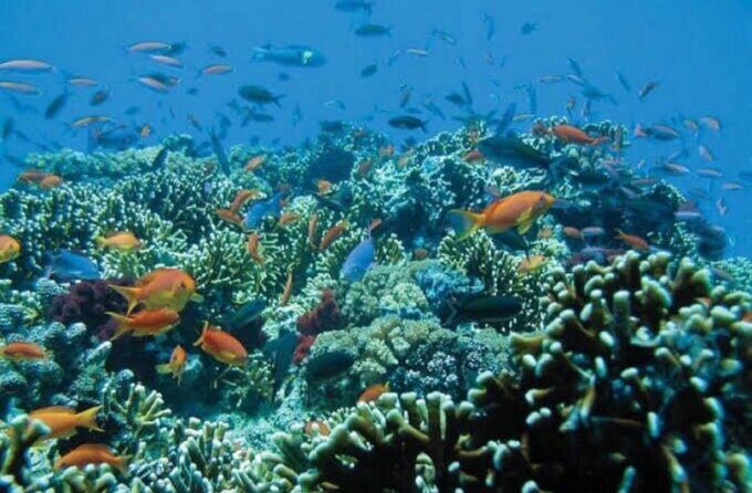 Bali Blue Lagoon Snorkeling With Secret Waterfall Tour - Frequently Asked Questions