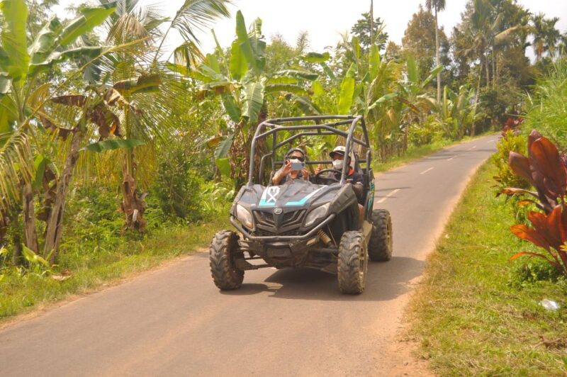 Bali Buggy Discovery Tours - Key Points
