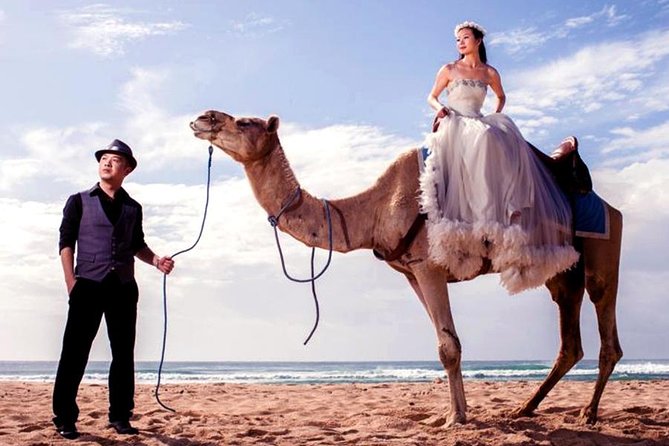 Bali Camel Ride on the Beach With Photo Session - Key Points