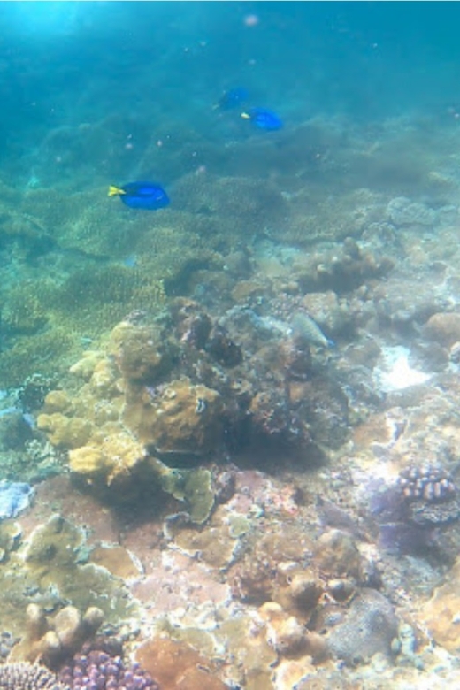 Bali: Candidasa Snorkeling Trips With Transfer - Detailed Itinerary