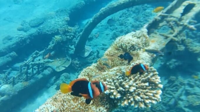 Bali: Candidasa Snorkeling Trips With Transfer - Tour Duration and Availability