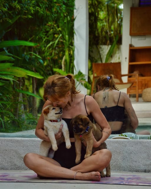 Bali: Canggu Puppy Yoga Class With Refreshing Drinks - Meeting Point
