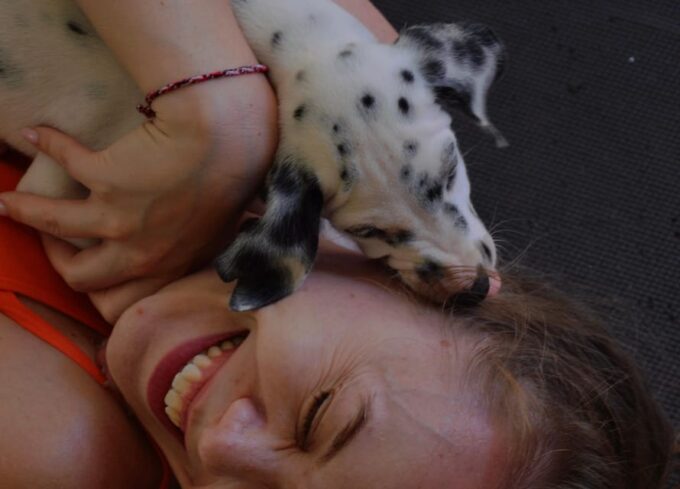 Bali: Canggu Puppy Yoga Class With Refreshing Drinks - Opportunity to Meet Enthusiasts