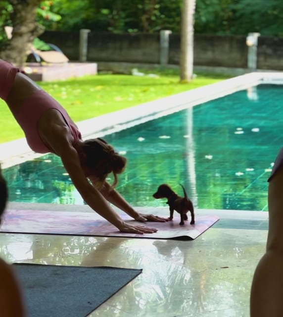 Bali: Canggu Puppy Yoga Class With Refreshing Drinks - Frequently Asked Questions