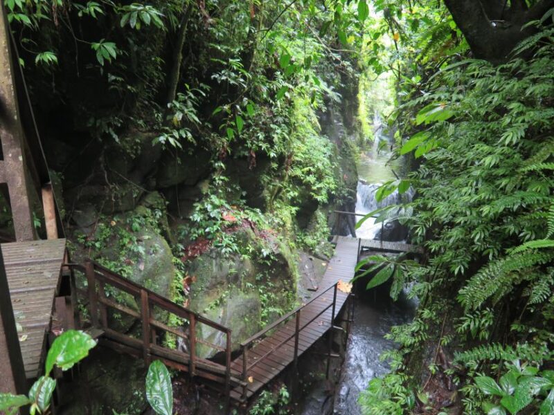 Bali: Canyon Tubing Adventure - Key Points