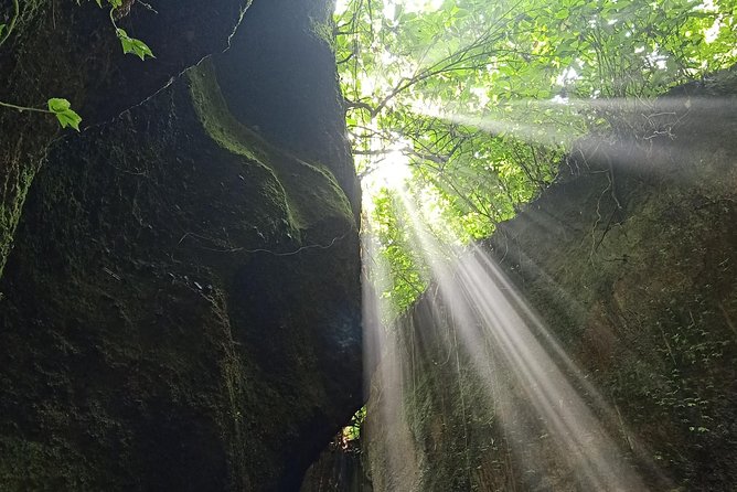 Bali Car Charter English Speaking Driver for 2 Days - Day 1: Best of Bali Instagram Tour