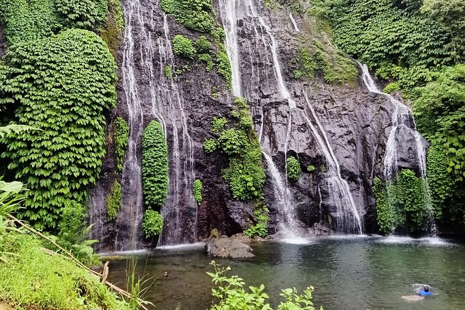 Bali Car Charter English Speaking Driver for 2 Days - Royal Water Palace and Scenic Lunch