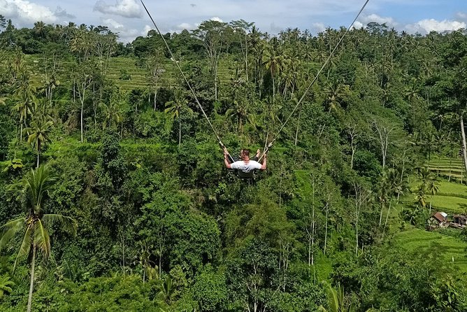 Bali Car Charter English Speaking Driver for 2 Days - Waterfall, Coffee Plantation, and Rice Terrace