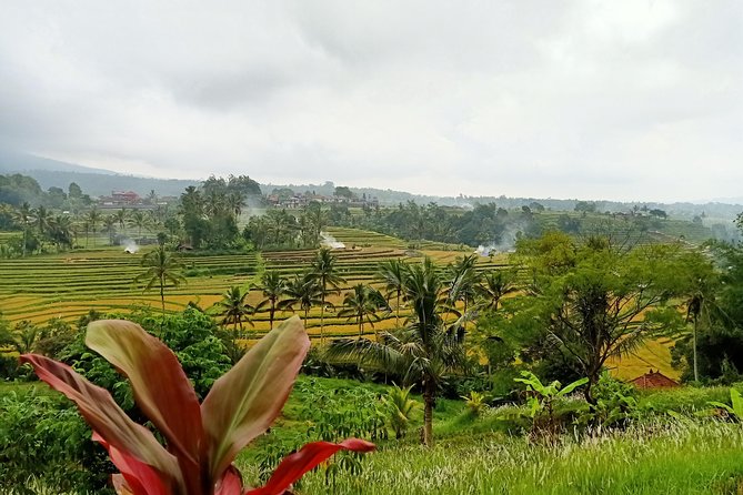 Bali Car Charter English Speaking Driver for 2 Days - Oceanfront Temple on Reefs