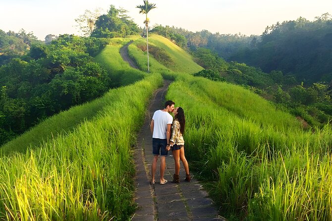 Bali Car-Charter: Half Day Ubud Village Tour - Accessibility and Packing