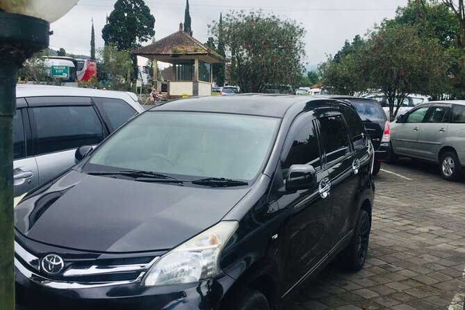 Bali Car Hire With Driver - Accessibility and Safety
