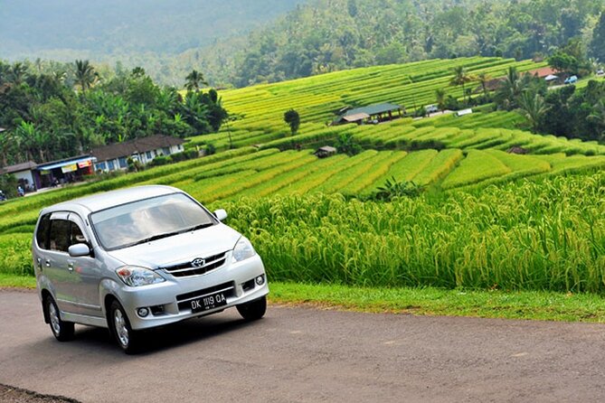 Bali Car Hire With Driver - Reviews and Excellence Badge