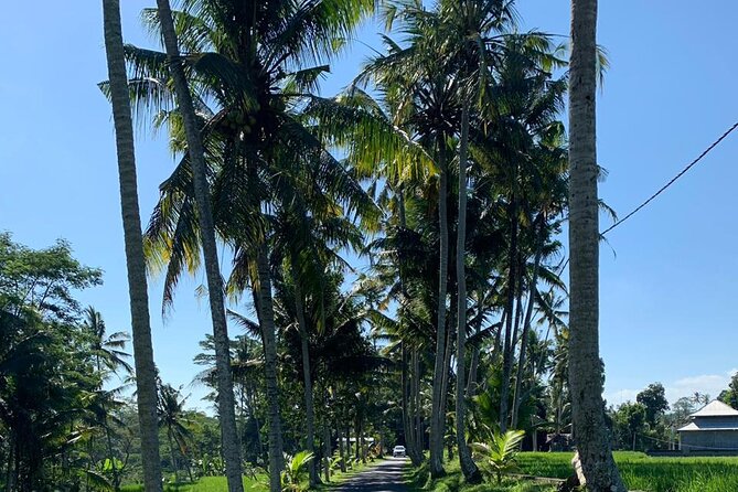 Bali Car Hire With Private Chauffeur - Booking and Cancellation Policies