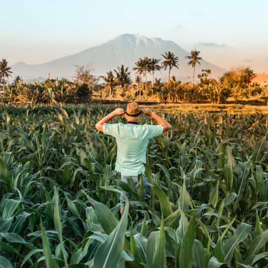 Bali Car Rental With Driver - Destinations and Activities