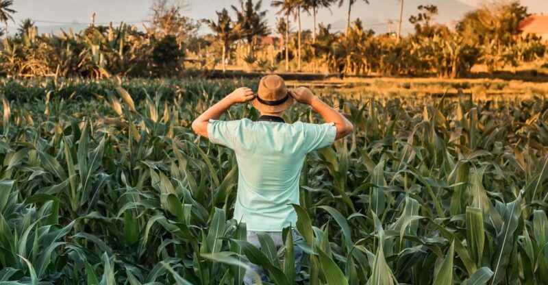 Bali Car Rental With Driver - Customizable Itineraries