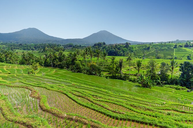 Bali Charm: Full-Day Bedugul and Tanah Lot Tour (UNESCO) - All Inclusive Tickets - Tour Highlights and Experience