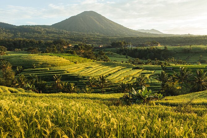 Bali Charm: Full-Day Bedugul and Tanah Lot Tour (UNESCO) - All Inclusive Tickets - Cultural Immersion and Insights