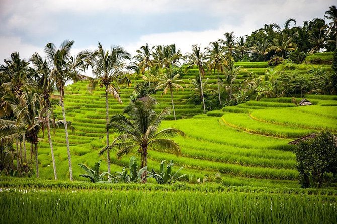 Bali Cheap Tour Packages 3 Days - Day 3: Taman Ayun, Beratan Lake, and Tanah Lot
