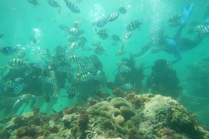 Bali Cheap Water Sport Package SCUBA DIVING,FLY FISH,JET SKY - Cancellation Policy