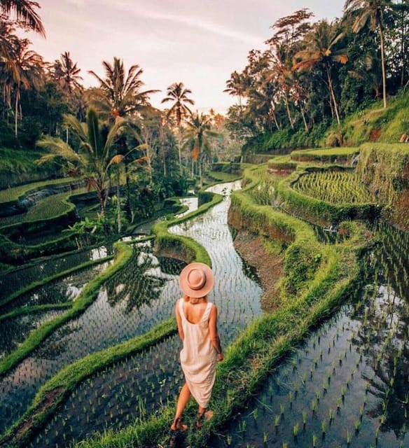 Bali: Clasic Bali Tour All Inclussive - Key Points