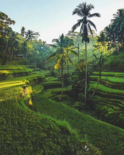 Bali: Clasic Bali Tour All Inclussive - Inclusions
