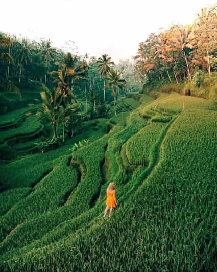 Bali: Clasic Bali Tour All Inclussive - Payment Options