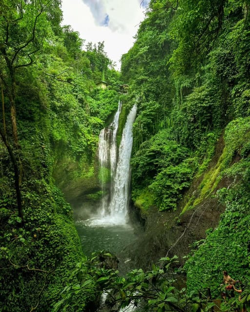 Bali: Cliff Jumping Gitgit Waterfalls & Rice Terrace Tour - Customer Reviews
