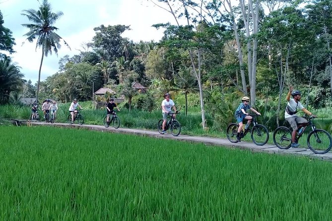 Bali Countryside Cycling Adventure - Suitability and Accessibility