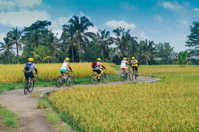 Bali Countryside Cycling Tour - Sharing Transport - Key Points