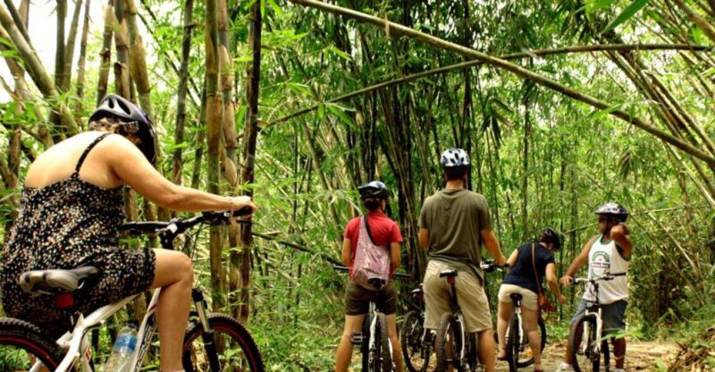Bali Countryside Cycling Tour - Pricing and Inclusions