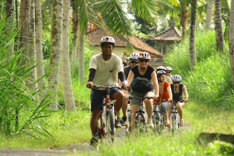 Bali Countryside Cycling Tour - Itinerary Highlights