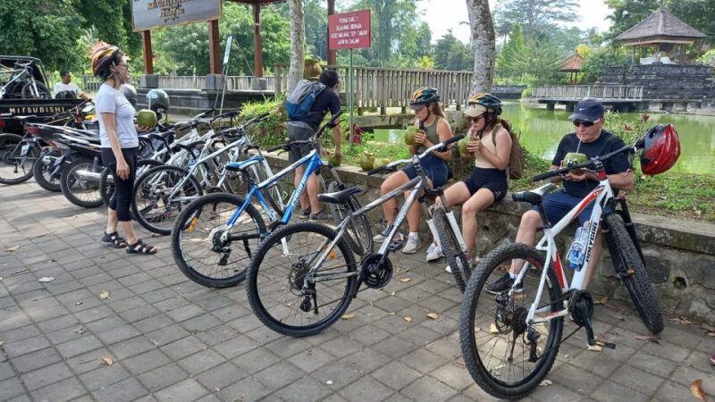 Bali Countryside Cycling Tour - Cultural Immersion