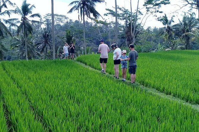Bali Countryside Cycling Tours - A Closer Look at the Itinerary