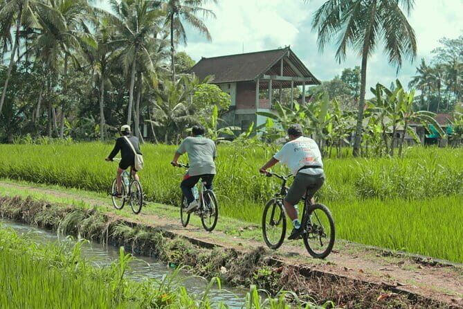 Bali Countryside Eco Cycling Tour include Lunch - An In-Depth Look at the Bali Countryside Eco Cycling Tour