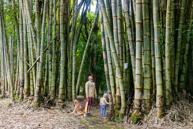 Bali Cultural Heritage Bamboo Forest Tour (Private All Inclusive) - Bamboo Forest Exploration